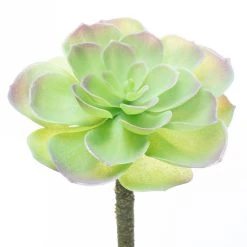 Budget β 12 Pack: Assorted Red Tipped Succulent Pick by Ashland® π 13 Budget β 12 Pack: Assorted Red Tipped Succulent Pick by Ashland® π -Ashland Shop 10229986 4