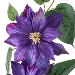 Cheap ✔️ Purple Tropical Clematis Stem by Ashland® ⭐ 7 Cheap ✔️ Purple Tropical Clematis Stem by Ashland® ⭐ -Ashland Shop 10230902 20