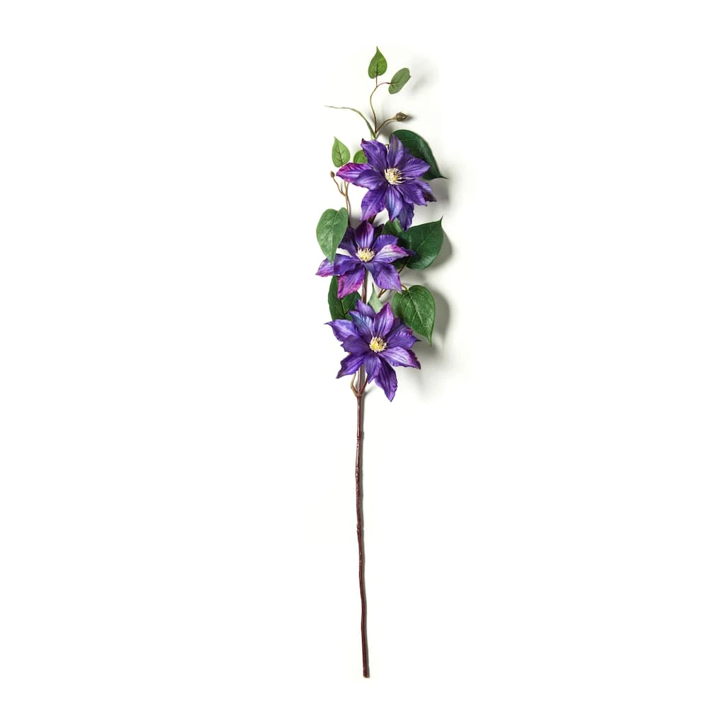 Cheap ✔️ Purple Tropical Clematis Stem by Ashland® ⭐ 3 Cheap ✔️ Purple Tropical Clematis Stem by Ashland® ⭐