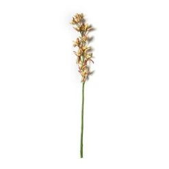 Hot Sale 😍 Tropical Cymbidium Stem by Ashland® 🔔