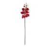 Promo ⭐ Red Tropical Orchid Stem by Ashland® 😍 -Ashland Shop 10230911 21
