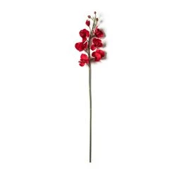Promo ⭐ Red Tropical Orchid Stem by Ashland® 😍