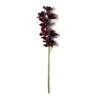 Best deal 🛒 Tropical Cymbidium Spray by Ashland® 🛒