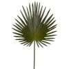 Flash Sale ✔️ 6 Pack: Green Fan Palm Stem by Ashland® ✔️ -Ashland Shop 10230923