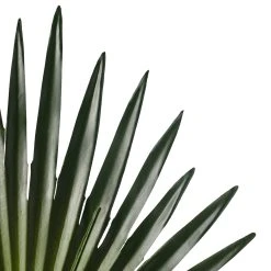 Wholesale ✨ Tropical Fan Palm Stem by Ashland® 🎁 -Ashland Shop 10230923 20