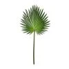 Wholesale ✨ Tropical Fan Palm Stem by Ashland® 🎁 -Ashland Shop 10230923 21