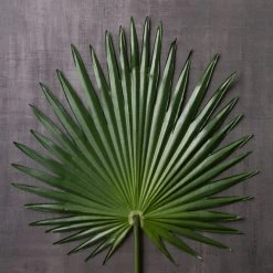 Wholesale ✨ Tropical Fan Palm Stem by Ashland® 🎁 -Ashland Shop 10230923 22