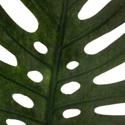 Brand new ⭐ Tropical Monstera Leaf Stem by Ashland® 👍 -Ashland Shop 10230926 20
