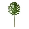 Brand new ⭐ Tropical Monstera Leaf Stem by Ashland® 👍 2 Brand new ⭐ Tropical Monstera Leaf Stem by Ashland® 👍 -Ashland Shop 10230926 21