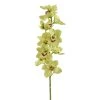 Cheapest 🎉 8 Pack: Pale Green Boat Orchid Stem by Ashland® ⌛ -Ashland Shop 10230928