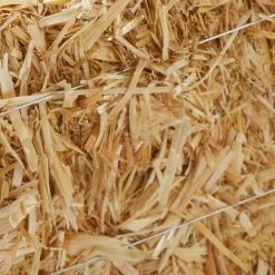 Best Pirce ✨ Decorative Straw Bale by Ashland® ⌛ -Ashland Shop 10234532 13
