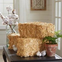Best Pirce ✨ Decorative Straw Bale by Ashland® ⌛ -Ashland Shop 10234532 16