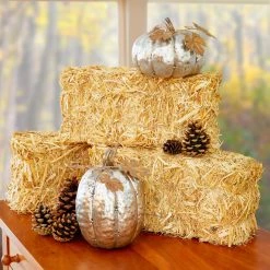 Best Pirce ✨ Decorative Straw Bale by Ashland® ⌛ -Ashland Shop 10234532 17