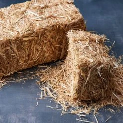Best Pirce ✨ Decorative Straw Bale by Ashland® ⌛ -Ashland Shop 10234532 20