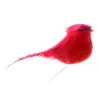 Discount 👏 24 Pack: Small Cardinal Bird by Ashland® 🛒