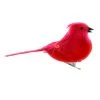 Discount ⌛ 24 Pack: Medium Cardinal Bird by Ashland® ⌛ -Ashland Shop 10239960 1
