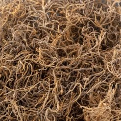 Wholesale ✨ Natural Spanish Moss by Ashland® ✨ -Ashland Shop 10254250 22