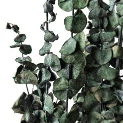 Buy 😀 Ashland® Washed Eucalyptus Bunch, 4 oz. 👏 -Ashland Shop 10259685 20