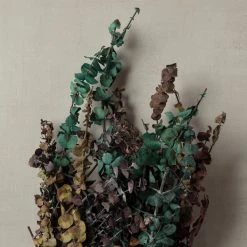 New ⭐ Ashland® Eucalyptus Bunch, 8 oz Tri-Colored 😉 -Ashland Shop 10259689 25