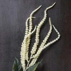 Budget 🔥 Cream Amaranthus Stem by Ashland® 🔔 -Ashland Shop 10262965 22