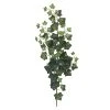 Discount 👍 12 Pack: Green Silk Ivy Spray by Ashland® ⭐ -Ashland Shop 10262975 1