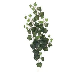 Discount 👍 12 Pack: Green Silk Ivy Spray by Ashland® ⭐