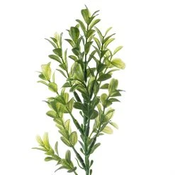 Cheap 🎉 Sweet Grass Stem by Ashland® 🎉 -Ashland Shop 10263020 20