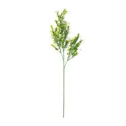 Cheap 🎉 Sweet Grass Stem by Ashland® 🎉