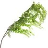 Best Pirce ⌛ 12 Pack: Green Weeping Fern Spray by Ashland® 💯