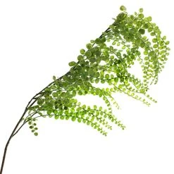 Best Pirce ⌛ 12 Pack: Green Weeping Fern Spray by Ashland® 💯