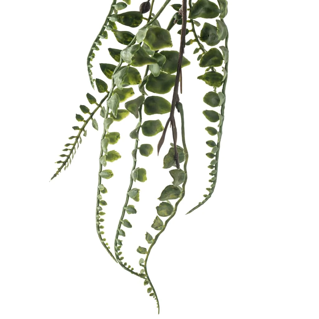 Cheap ๐คฉ Green Fern Leaf Stem Spray by Ashland® ๐ 5 Cheap ๐คฉ Green Fern Leaf Stem Spray by Ashland® ๐ - Image 3