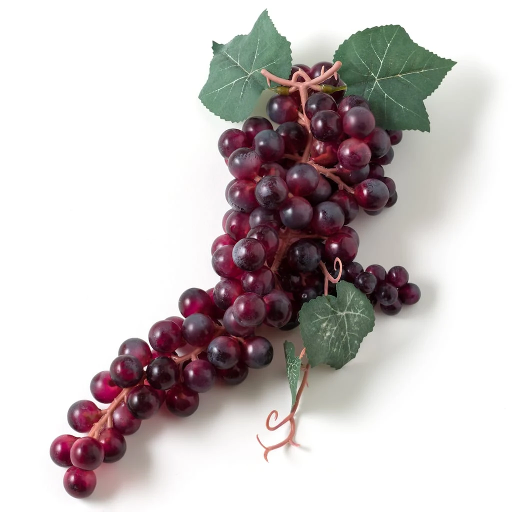 Wholesale 𧨠Large Purple Grapes by Ashland® π― 4 Wholesale 𧨠Large Purple Grapes by Ashland® π― - Image 2