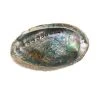 Wholesale ⭐ Blue Abalone Shell by Ashland® 😀 -Ashland Shop 10289973