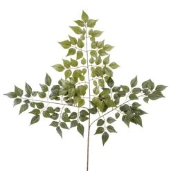 Coupon ❤️ 24 Pack: Green China Dollar Spray by Ashland® 😉