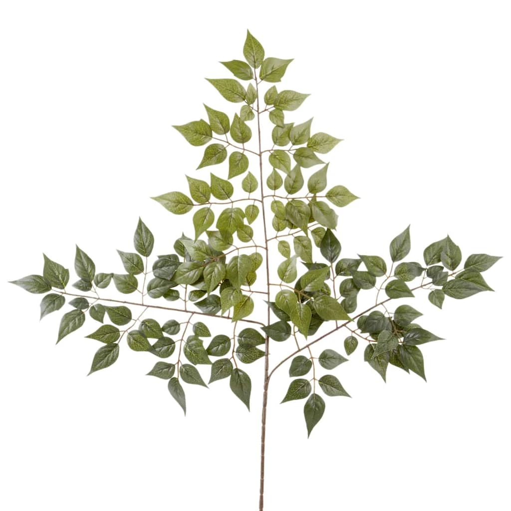 Coupon ❤️ 24 Pack: Green China Dollar Spray by Ashland® 😉 3 Coupon ❤️ 24 Pack: Green China Dollar Spray by Ashland® 😉