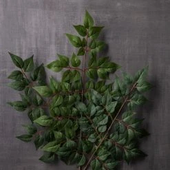 Brand new ❤️ China Dollar Spray Floral Essentials by Ashland® 🧨 -Ashland Shop 10292511 22