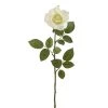 Best reviews of 😉 16 Pack: Ivory Princess Rose Stem by Ashland® 😀