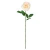 Best reviews of ✔️ 12 Pack: White Princess Rose Stem by Ashland® 🎉