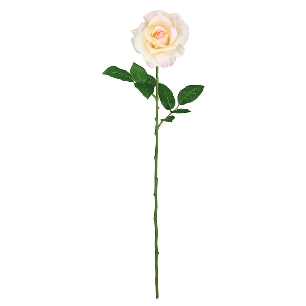 Best reviews of ✔️ 12 Pack: White Princess Rose Stem by Ashland® 🎉 3 Best reviews of ✔️ 12 Pack: White Princess Rose Stem by Ashland® 🎉
