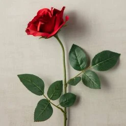 Cheap 😀 Princess Rose by Ashland® ⌛ 7 Cheap 😀 Princess Rose by Ashland® ⌛ -Ashland Shop 10297101 25