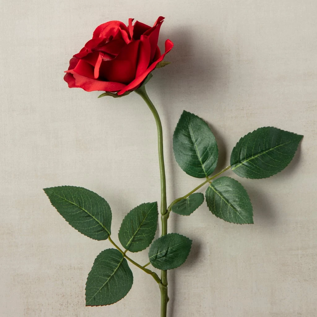 Cheap 😀 Princess Rose by Ashland® ⌛ 5 Cheap 😀 Princess Rose by Ashland® ⌛ - Image 3