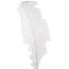 Wholesale 🎁 Ashland® Feather, Ostrich, Ivory 🌟
