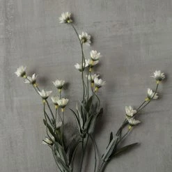 Top 10 ✔️ Wild Daisy Spray by Ashland® 🎁 -Ashland Shop 10302183 25