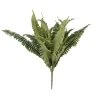 Promo ✔️ Boston Fern Bush Fern Collection by Ashland® ✔️ 2 Promo ✔️ Boston Fern Bush Fern Collection by Ashland® ✔️ -Ashland Shop 10309260 1