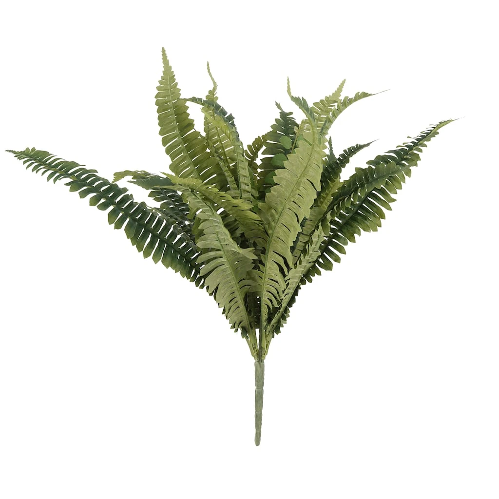 Promo ✔️ Boston Fern Bush Fern Collection by Ashland® ✔️ 3 Promo ✔️ Boston Fern Bush Fern Collection by Ashland® ✔️