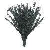 Flash Sale 🧨 Green Eucalyptus Bunch by Ashland®, 16oz. 😍 -Ashland Shop 10322552 1