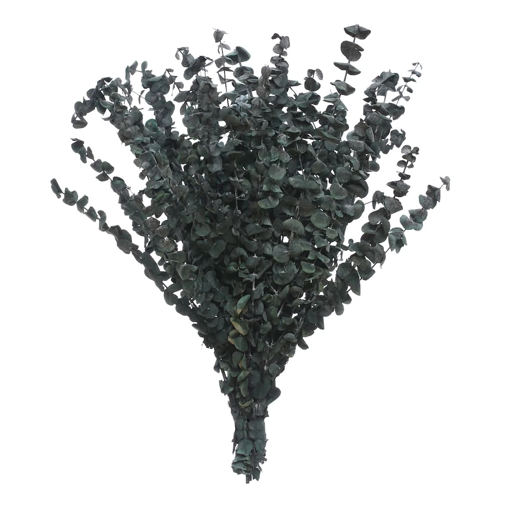 Flash Sale ๐งจ Green Eucalyptus Bunch by Ashland®, 16oz. ๐ 3 Flash Sale ๐งจ Green Eucalyptus Bunch by Ashland®, 16oz. ๐