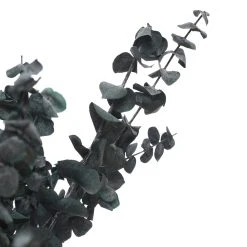 Flash Sale ๐งจ Green Eucalyptus Bunch by Ashland®, 16oz. ๐ 7 Flash Sale ๐งจ Green Eucalyptus Bunch by Ashland®, 16oz. ๐ -Ashland Shop 10322552 2