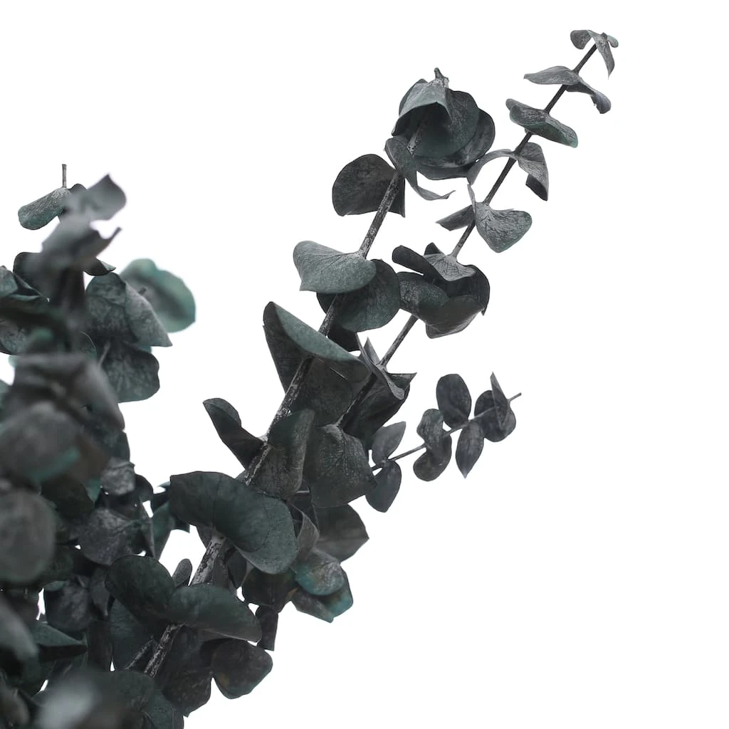 Flash Sale ๐งจ Green Eucalyptus Bunch by Ashland®, 16oz. ๐ 4 Flash Sale ๐งจ Green Eucalyptus Bunch by Ashland®, 16oz. ๐ - Image 2