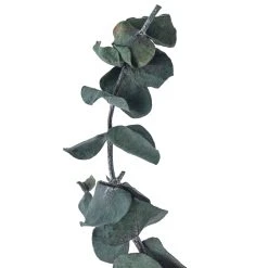 Flash Sale ๐งจ Green Eucalyptus Bunch by Ashland®, 16oz. ๐ 8 Flash Sale ๐งจ Green Eucalyptus Bunch by Ashland®, 16oz. ๐ -Ashland Shop 10322552 20